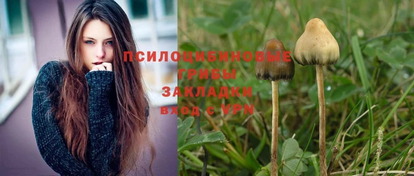 скорость Алексин