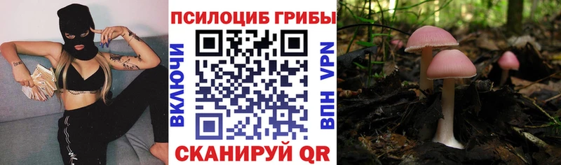 Галлюциногенные грибы прущие грибы  как найти закладки  Данков 